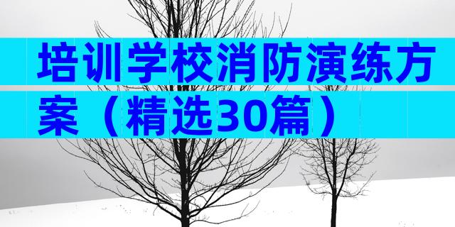 培训学校消防演练方案（精选30篇）