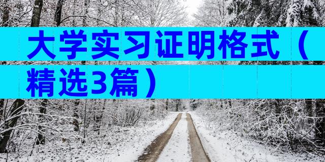 大学实习证明格式（精选3篇）