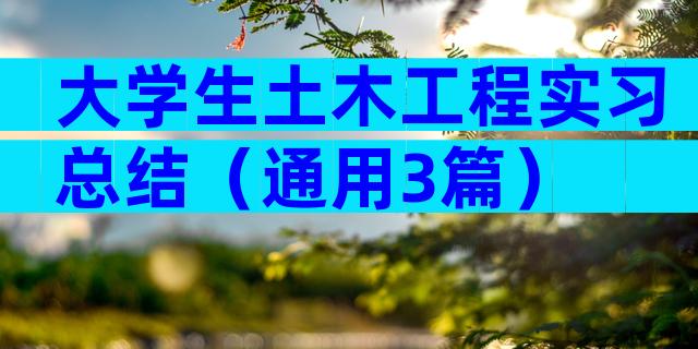 大学生土木工程实习总结（通用3篇）