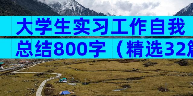 大学生实习工作自我总结800字（精选32篇）