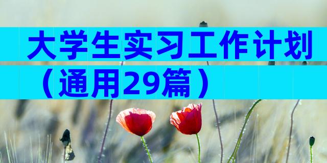 大学生实习工作计划（通用29篇）