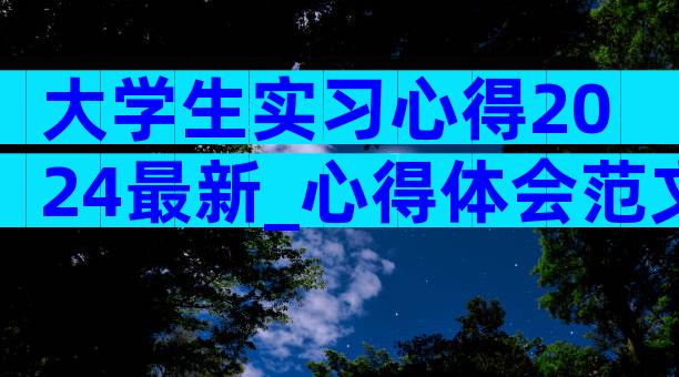 大学生实习心得2024最新_心得体会范文（通用32篇）