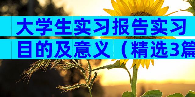 大学生实习报告实习目的及意义（精选3篇）