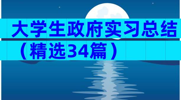 大学生政府实习总结（精选34篇）