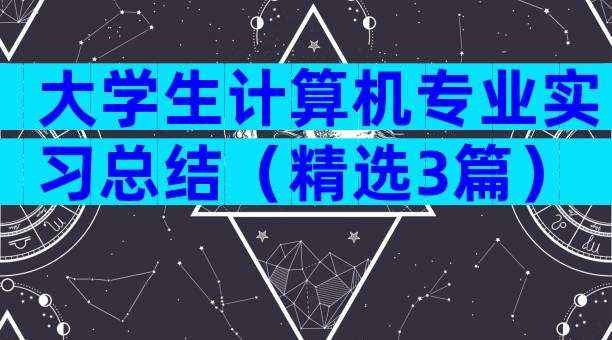 大学生计算机专业实习总结（精选3篇）