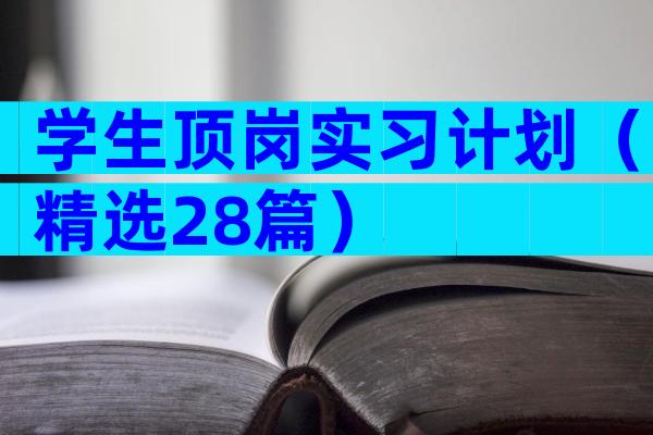 学生顶岗实习计划（精选28篇）