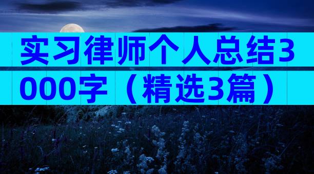 实习律师个人总结3000字（精选3篇）