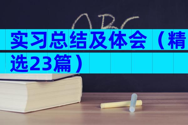 实习总结及体会（精选23篇）