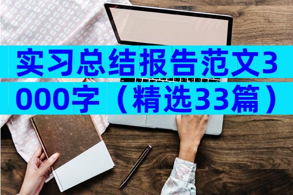 实习总结报告范文3000字（精选33篇）