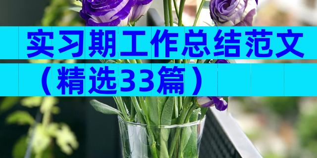 实习期工作总结范文（精选33篇）