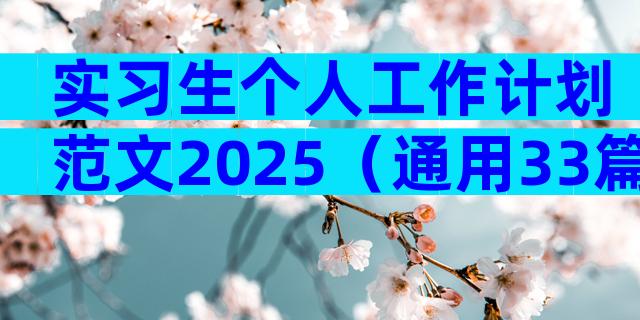 实习生个人工作计划范文2025（通用33篇）