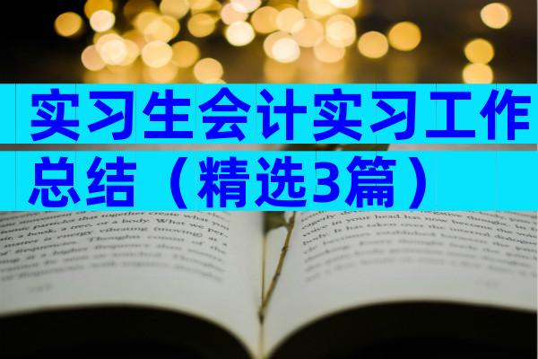 实习生会计实习工作总结（精选3篇）