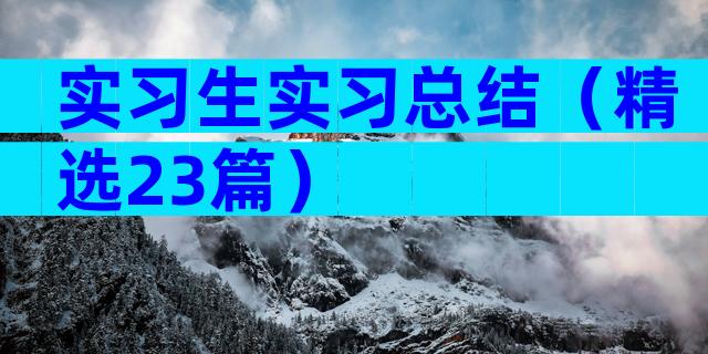 实习生实习总结（精选23篇）