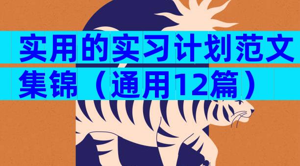 实用的实习计划范文集锦（通用12篇）