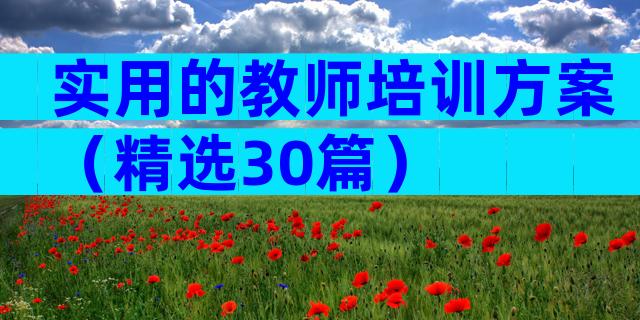 实用的教师培训方案（精选30篇）