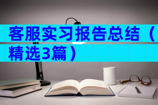 客服实习报告总结（精选3篇）