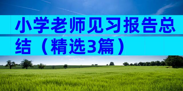 小学老师见习报告总结（精选3篇）