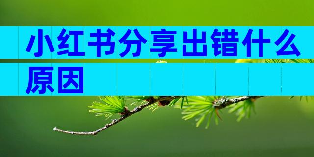 小红书分享出错什么原因