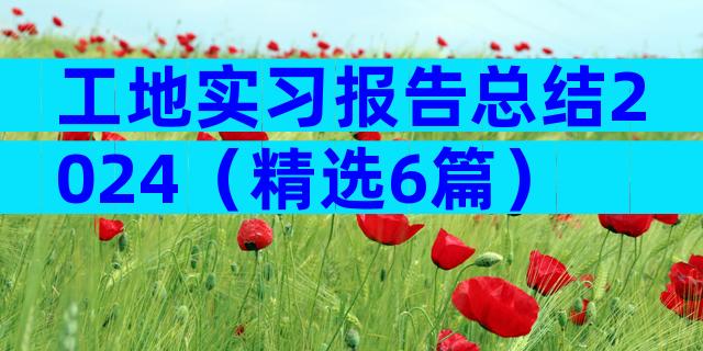 工地实习报告总结2024（精选6篇）