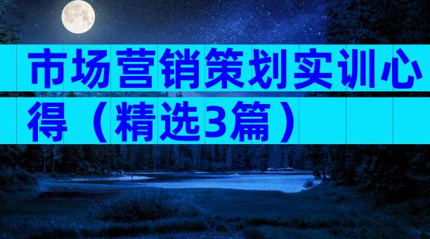 市场营销策划实训心得（精选3篇）