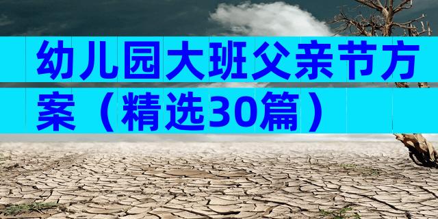 幼儿园大班父亲节方案（精选30篇）