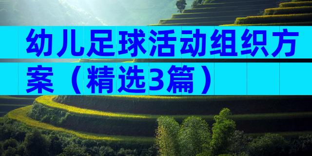 幼儿足球活动组织方案（精选3篇）