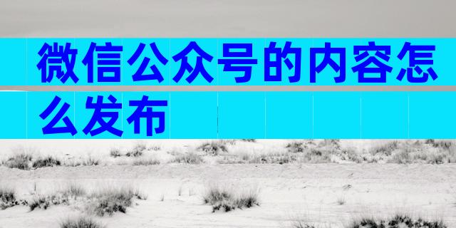 微信公众号的内容怎么发布