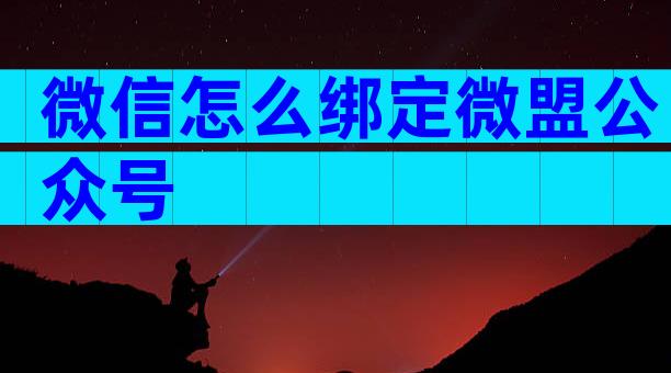 微信怎么绑定微盟公众号