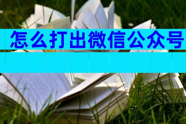 怎么打出微信公众号