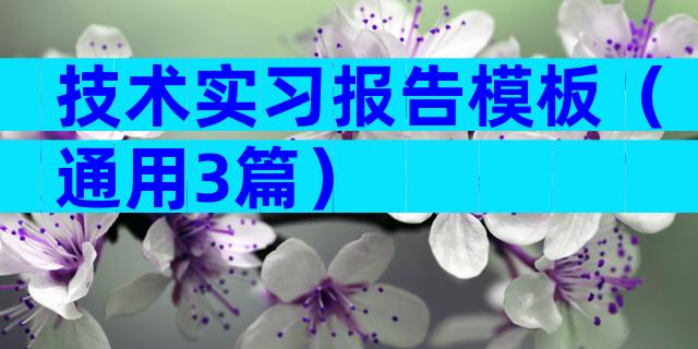 技术实习报告模板（通用3篇）