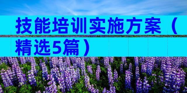 技能培训实施方案（精选5篇）