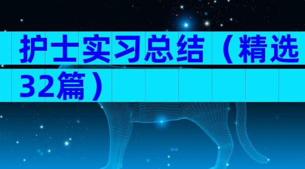 护士实习总结（精选32篇）