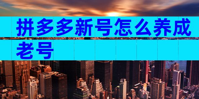 拼多多新号怎么养成老号