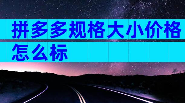 拼多多规格大小价格怎么标