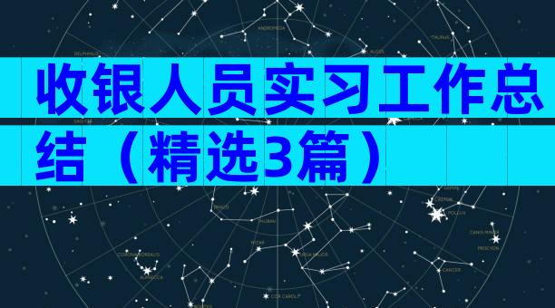 收银人员实习工作总结（精选3篇）