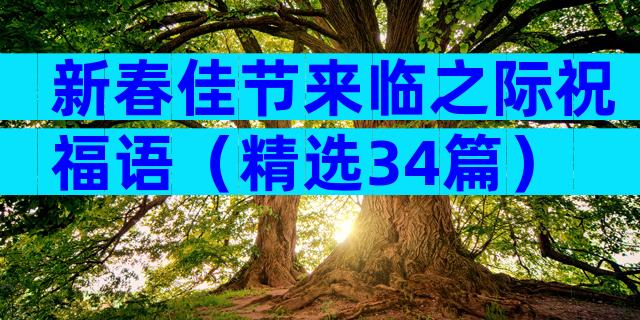 新春佳节来临之际祝福语（精选34篇）