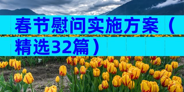 春节慰问实施方案（精选32篇）