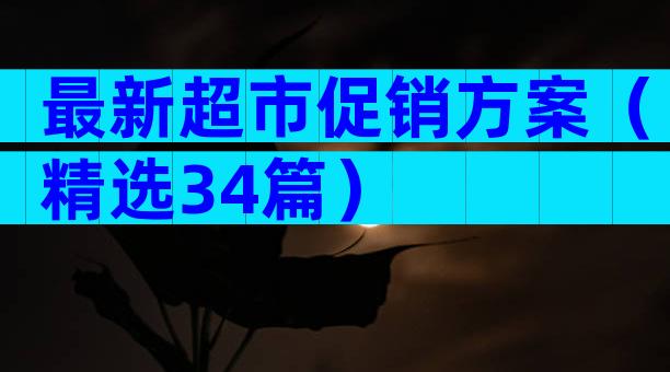 最新超市促销方案（精选34篇）