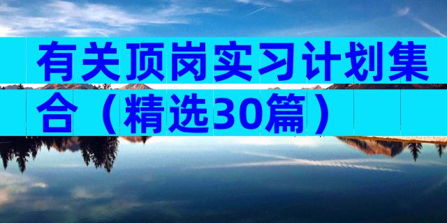 有关顶岗实习计划集合（精选30篇）