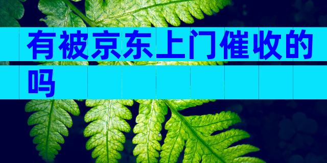 有被京东上门催收的吗