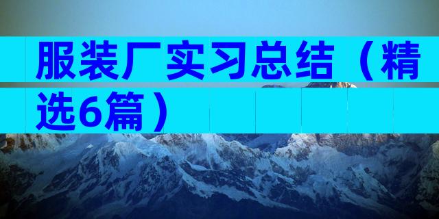 服装厂实习总结（精选6篇）