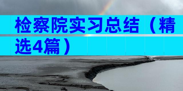 检察院实习总结（精选4篇）