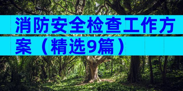 消防安全检查工作方案（精选9篇）