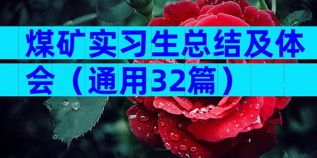 煤矿实习生总结及体会（通用32篇）