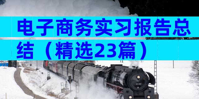 电子商务实习报告总结（精选23篇）