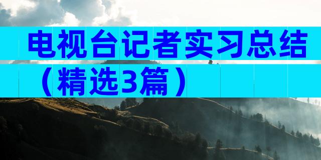 电视台记者实习总结（精选3篇）