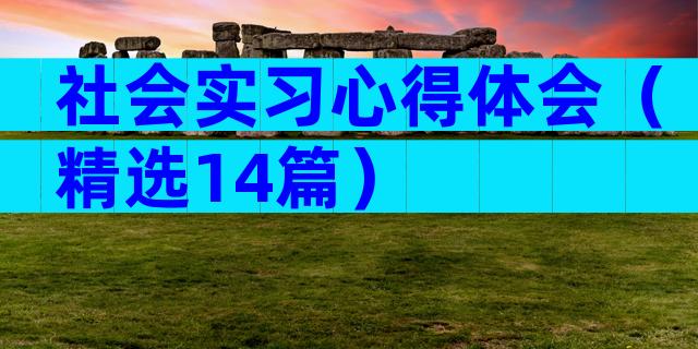 社会实习心得体会（精选14篇）