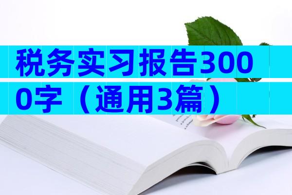 税务实习报告3000字（通用3篇）