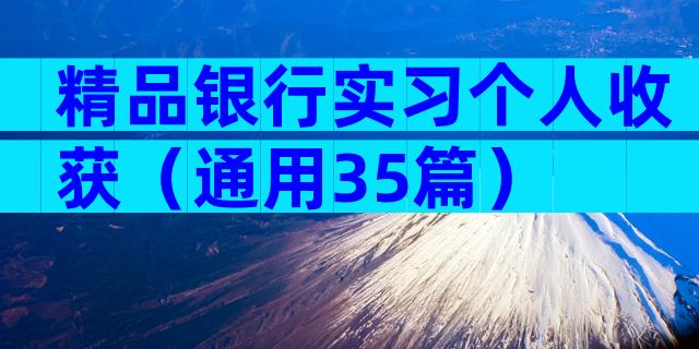 精品银行实习个人收获（通用35篇）