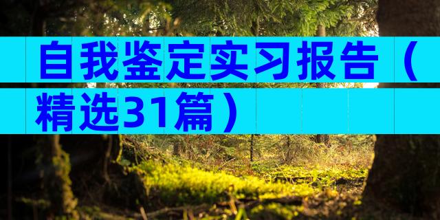 自我鉴定实习报告（精选31篇）